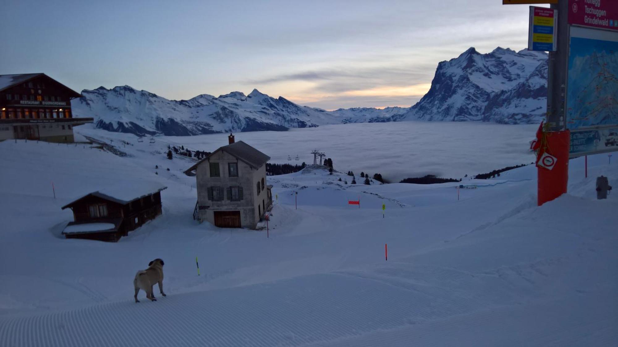 Lodge Bergrestaurant Kleine Scheidegg